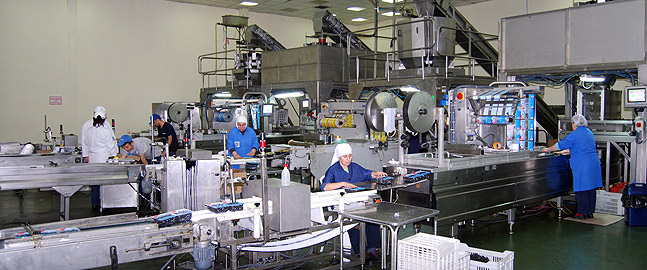 Marmarabirlik Line DSC 10451 | Q&A with Hidamet Asa, Chairman of Turkish Olive Giant Marmarabirlik | europe