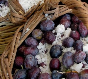 olives in salt 300x270 | Ayvalik’s Fabled Olive Oil | world features 