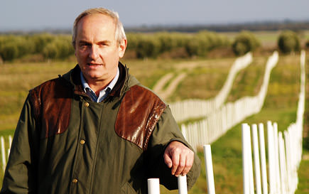 Paul Miller Miller | Aussie Standard Wrapped, Paul Miller Pitches New World Olive Oil Quality Alliance | olive oil grades