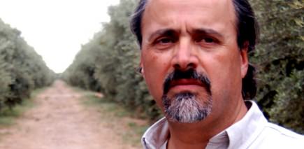 Feld Feld 435x213 | Investing in the Future of Olive Oil in Argentina | south america features