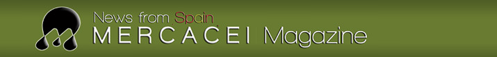 Olive Oil Information