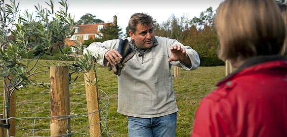 Making Olive Oil in an English Garden