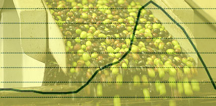 Italian Olive Oil's Wild Ride italian olive oil prices | Price for Italian Extra Virgin Olive Oil Drops to 09 Levels | olive oil business